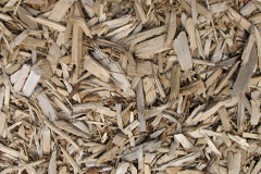 biomass boilers Pigdon
